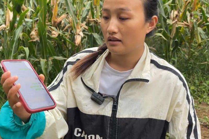 INS粉丝1M代表多少