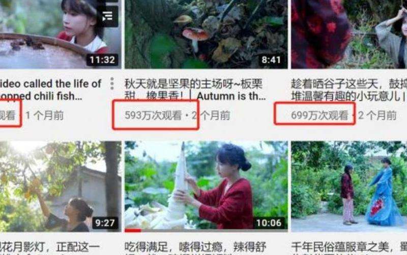Lias在INS上的粉丝数量