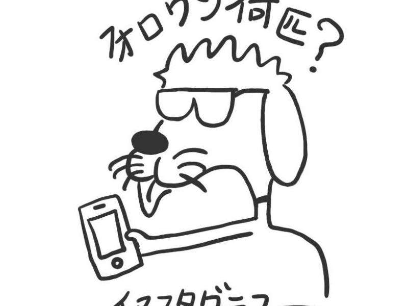 lisa的ins有多少粉丝最新
