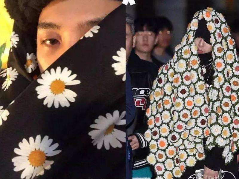  2024年权志龙INS粉丝数量