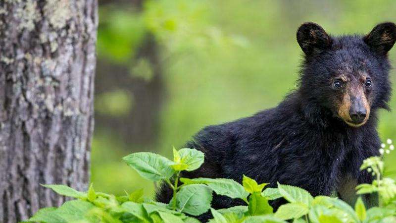 INS10千是多少粉丝