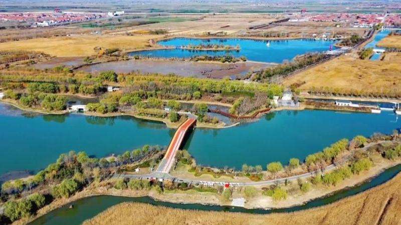 INS上1500万粉丝的明星名单